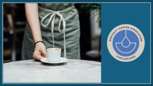 SCA Café Diploma SCA咖啡廳文憑-咖啡產業技能文憑（SCA Skills Diploma）：專業咖啡館創業不可或缺的證照課程