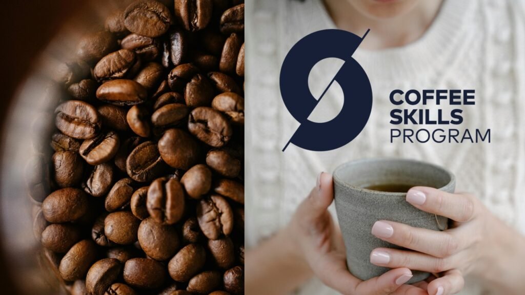 咖啡師證照費用｜SCA咖啡師課程一次看｜桑卓咖啡研究學院