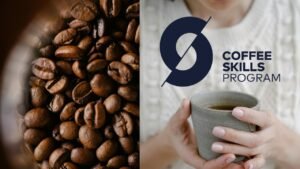 咖啡師證照費用｜SCA咖啡師課程一次看｜桑卓咖啡研究學院