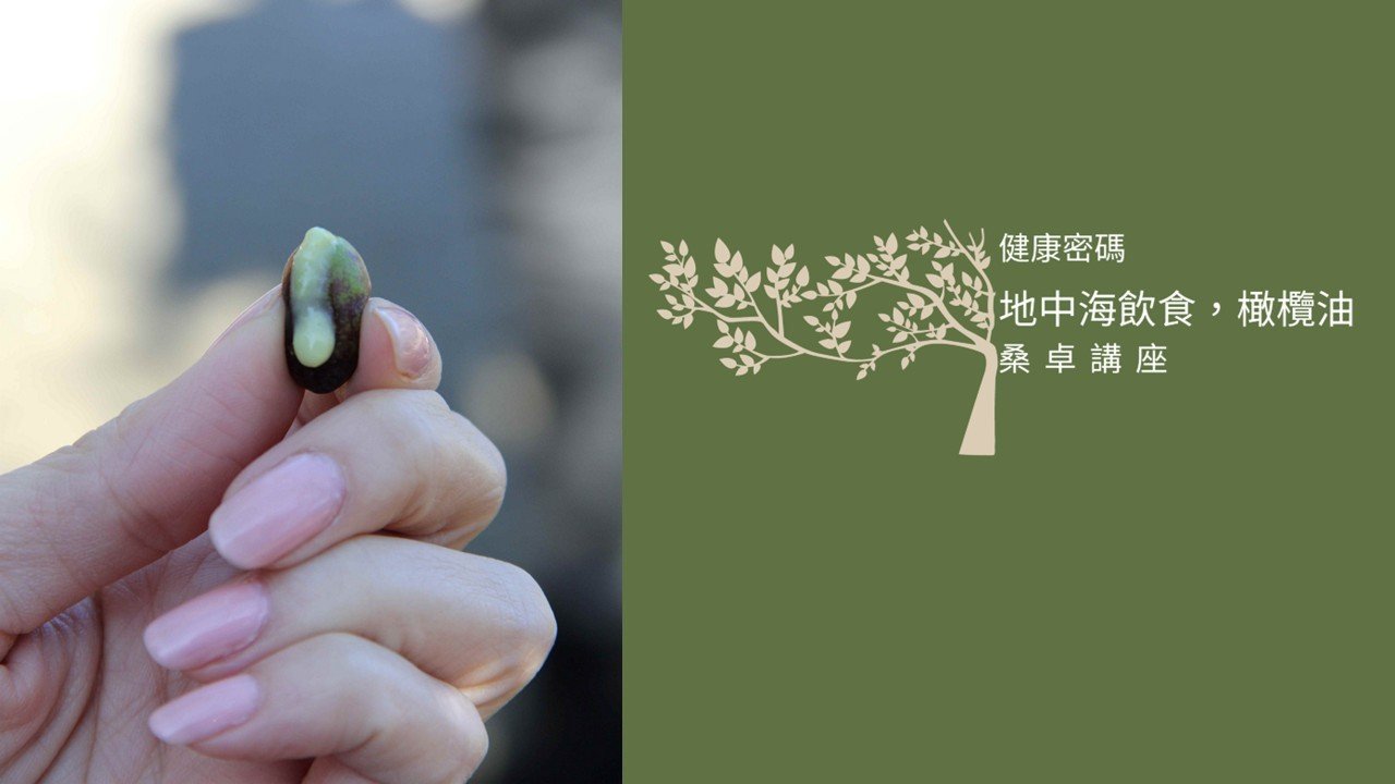 健康密碼 地中海飲食 橄欖油！ | 橄欖油課程 | 桑卓橄欖油品油課程