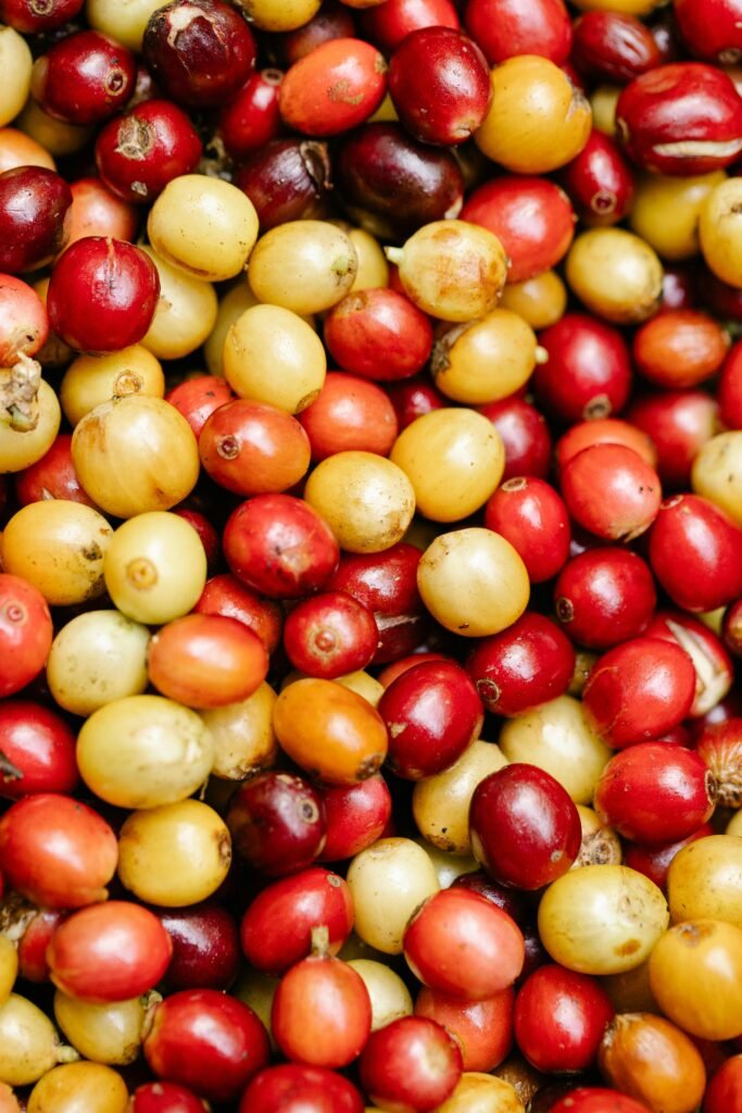 為什麼咖啡的 Honey Process（蜜處理）叫做「蜜處理」？｜桑卓