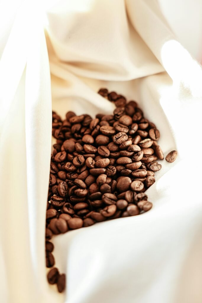 咖啡課程高雄首選：3小時烘豆課程入門基礎體驗 & SCA國際烘豆課程（初級+中級）｜桑卓咖啡研究學院