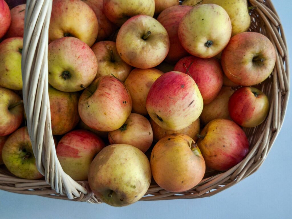 高雄咖啡課程・烘豆課｜SCA國際咖啡烘焙證照課程（入門基礎初級＋中級＋專業高級）烘豆課｜結合 SCA咖啡感官課程 和 SCA CVA