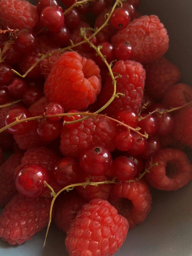 咖啡課程高雄｜sca感官課程｜咖啡感官課程｜杯測師（基礎入門+中級）