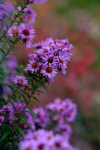 高雄咖啡課程：探索咖啡感官課程高雄與SCA感官課程高雄的專業培訓