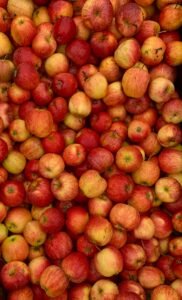 高雄咖啡課程 SCA國際咖啡烘焙證照課程(入門基礎初級+中級+專業高級) 烘豆課，專為創業開店設計