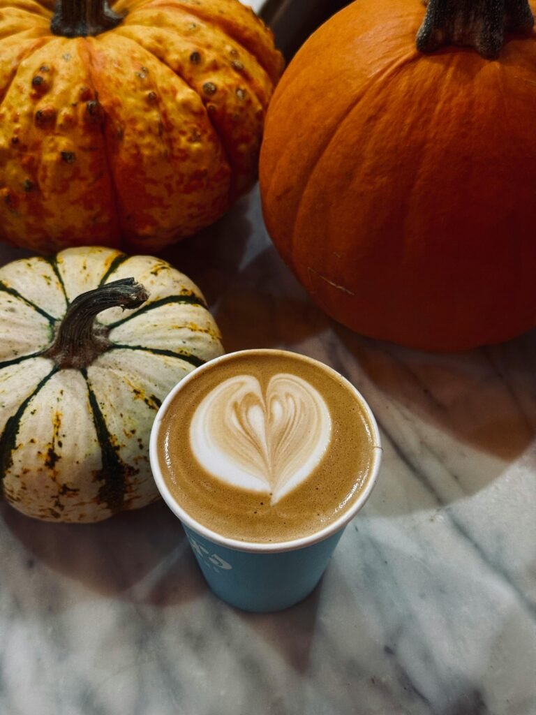 咖啡烘焙課程|桑卓咖啡研究學院 SCA 烘豆課程|為創業開店設計