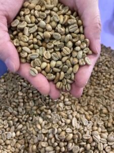 高雄】咖啡烘焙證照課程｜烘豆課｜SCA烘豆課程：零基礎也能創業開店的實戰路線