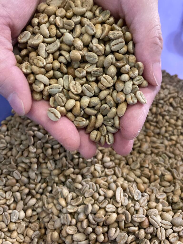 高雄】咖啡烘焙證照課程｜烘豆課｜SCA烘豆課程：零基礎也能創業開店的實戰路線