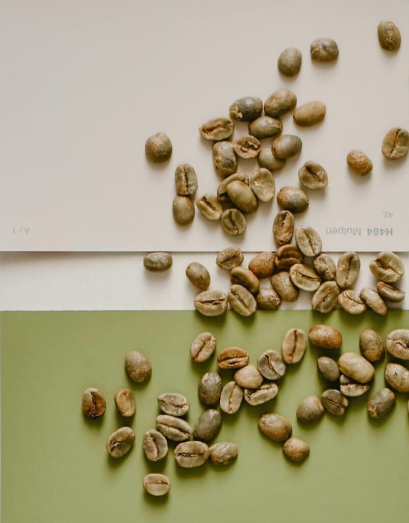 高雄咖啡烘焙課程首選｜SCA烘豆證照與創業輔導 - 桑卓咖啡研究學院