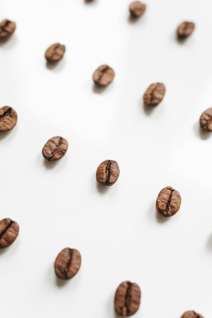 咖啡烘焙課程、烘豆課、SCA烘豆課程｜專為開咖啡館創業設計的實戰路線｜桑卓咖啡研究學院