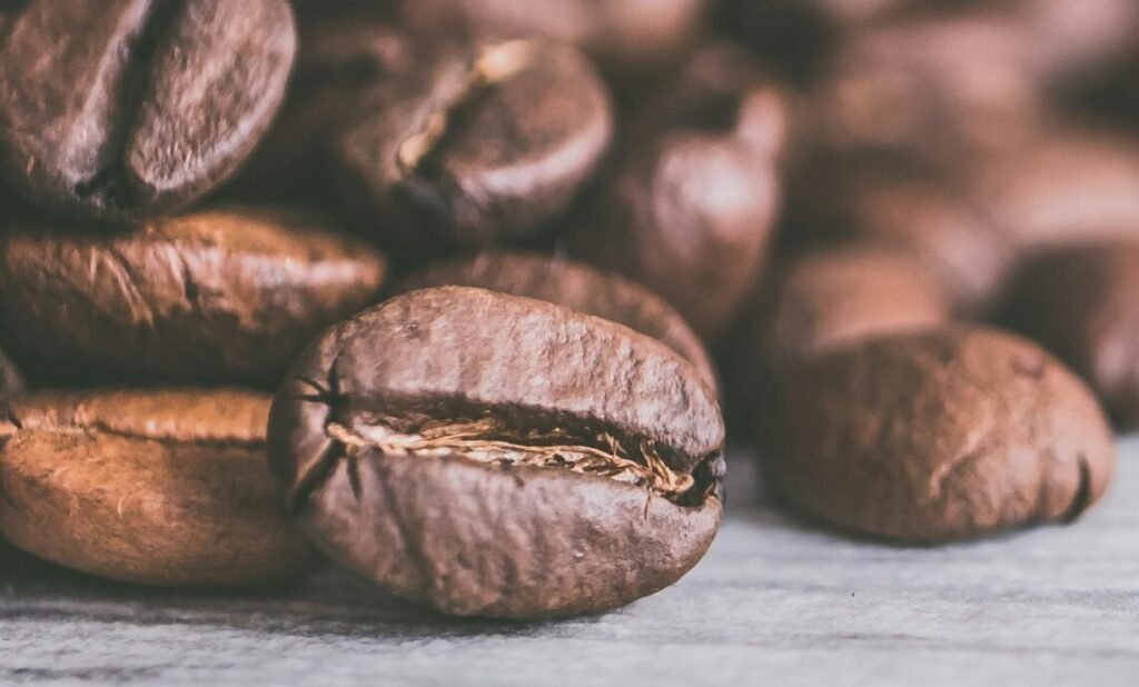 高雄咖啡烘焙課程推薦｜SCA烘豆證照與創業輔導 - 桑卓咖啡研究學院