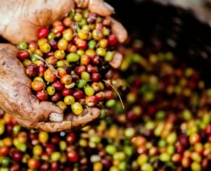 咖啡課程推薦｜高雄SCA咖啡課程與咖啡師證照