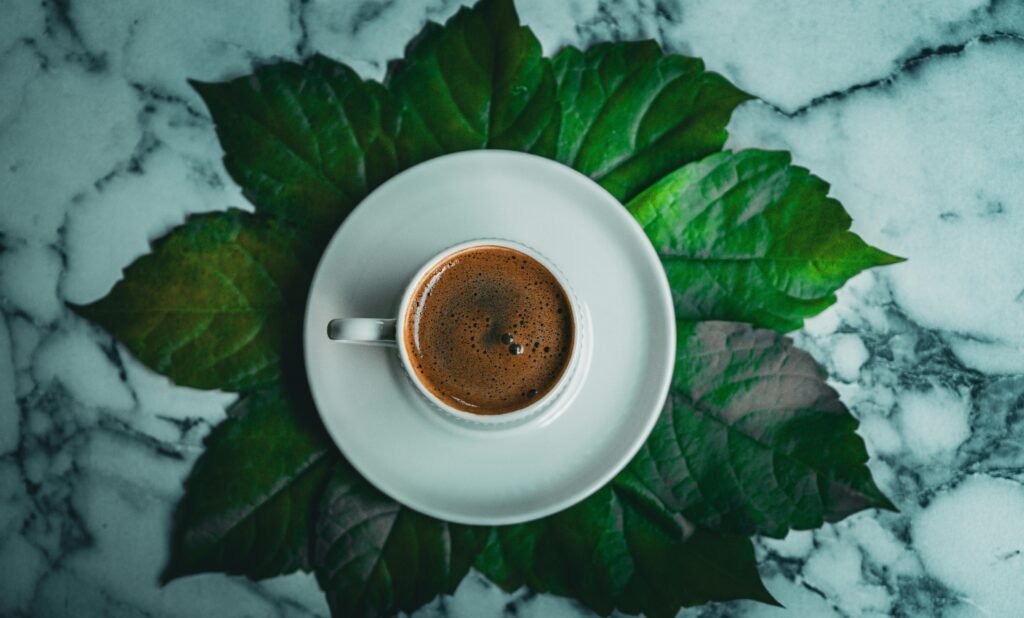 2025 SCA 咖啡師證照費用與課程攻略 | 桑卓咖啡研究學院