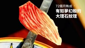 72個月熟成伊比利豬火腿：夢幻大理石紋理與時間工藝的極致