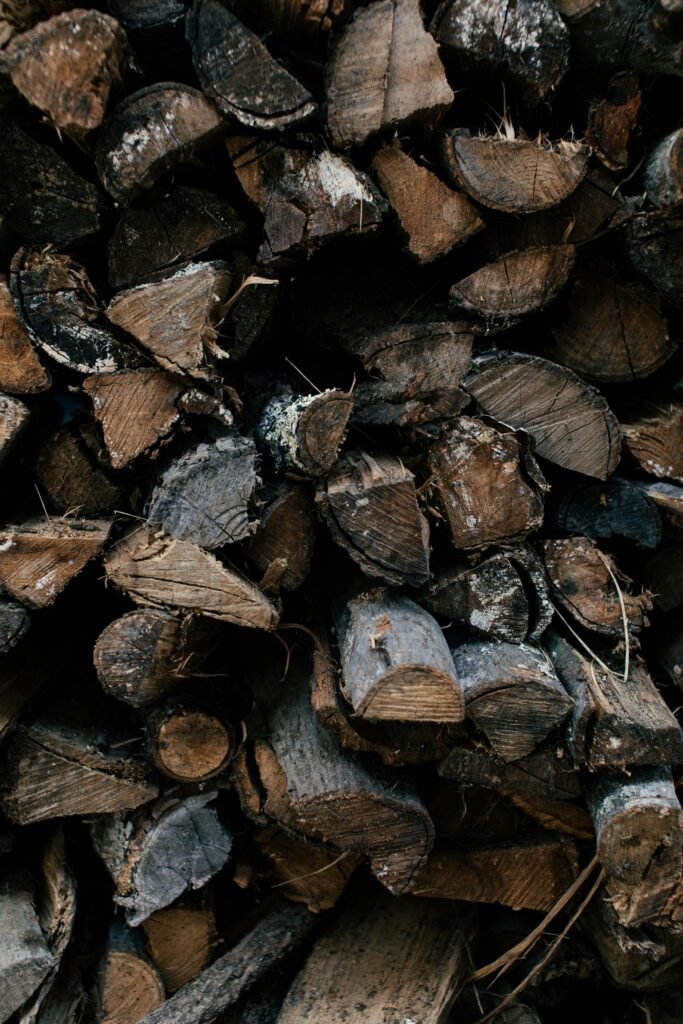 陳年豆與新鮮豆的風味差異：練習辨識「木質味」與「陳味」