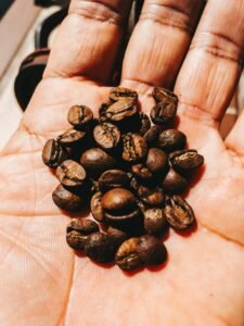 梅納反應與焦糖化：烘豆師必修化學課｜SCA 咖啡師證照課程