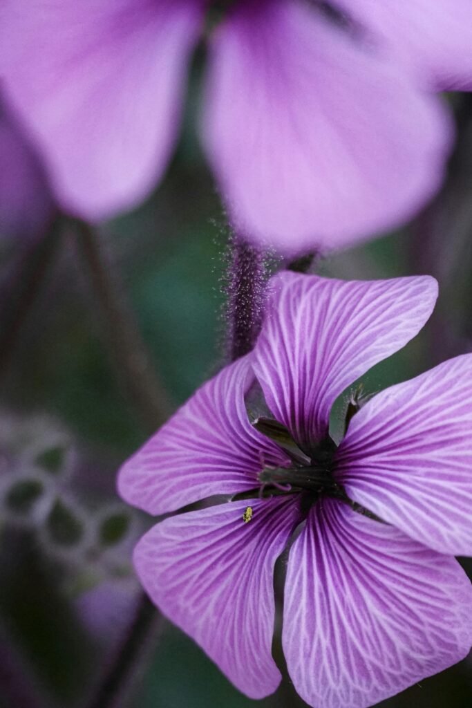 為什麼烘豆師一定要上 SCA 感官課？味覺是你的校正器。