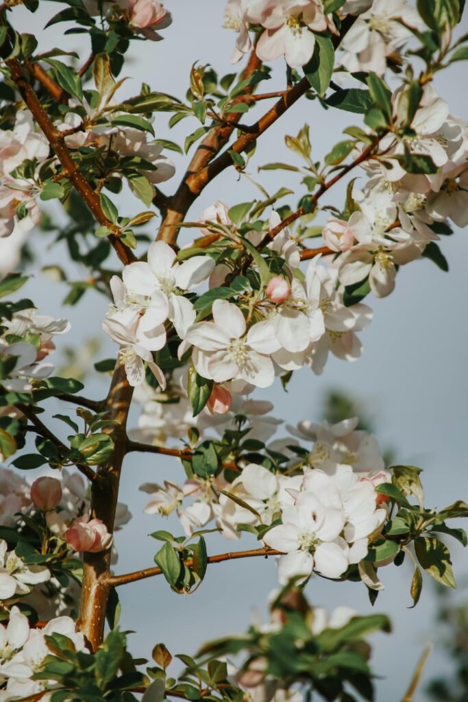 嗅覺疲勞怎麼辦？SCA的感官保養與恢復技巧