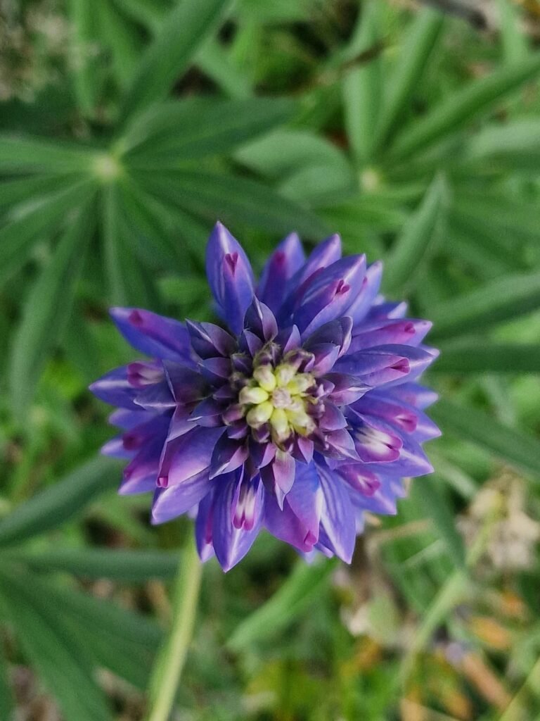 SCA感官課程:感官室環境如何影響判斷?桑卓咖啡研究學院