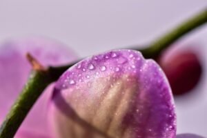 高雄雨天備案:室內最療癒的咖啡拉花手作課程|桑卓咖啡研究學院