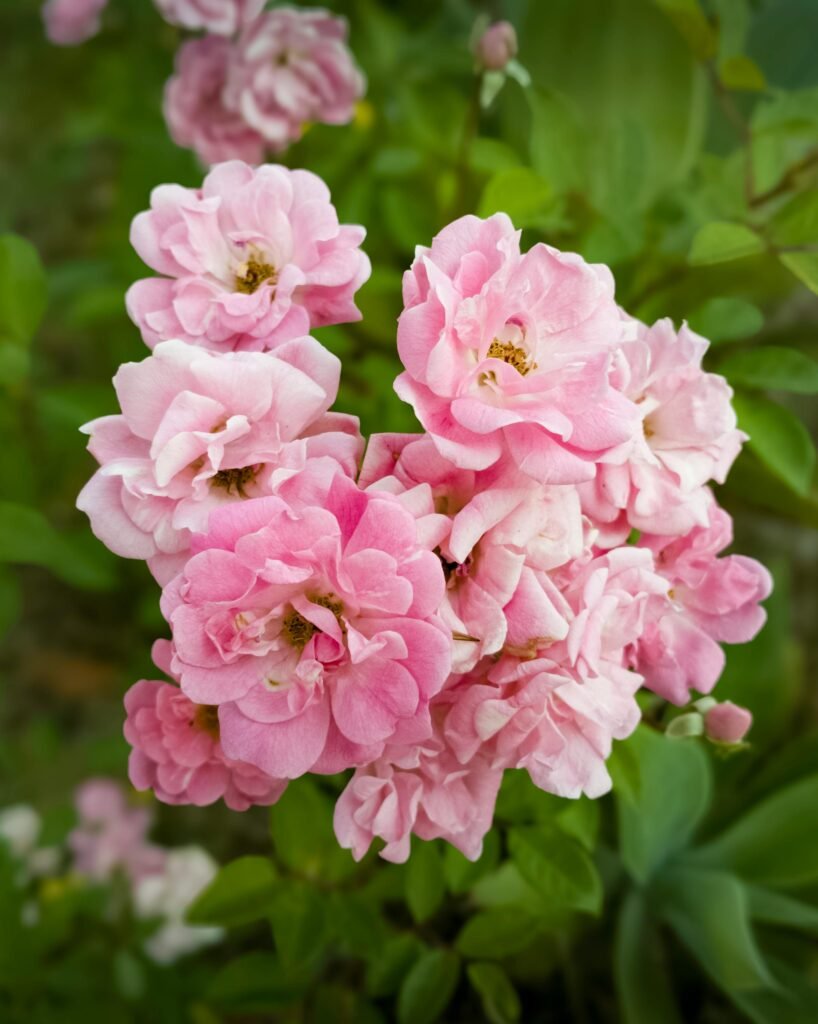 SCA咖啡感官課程教你怎麼辨識乾香、濕香與後味的差異