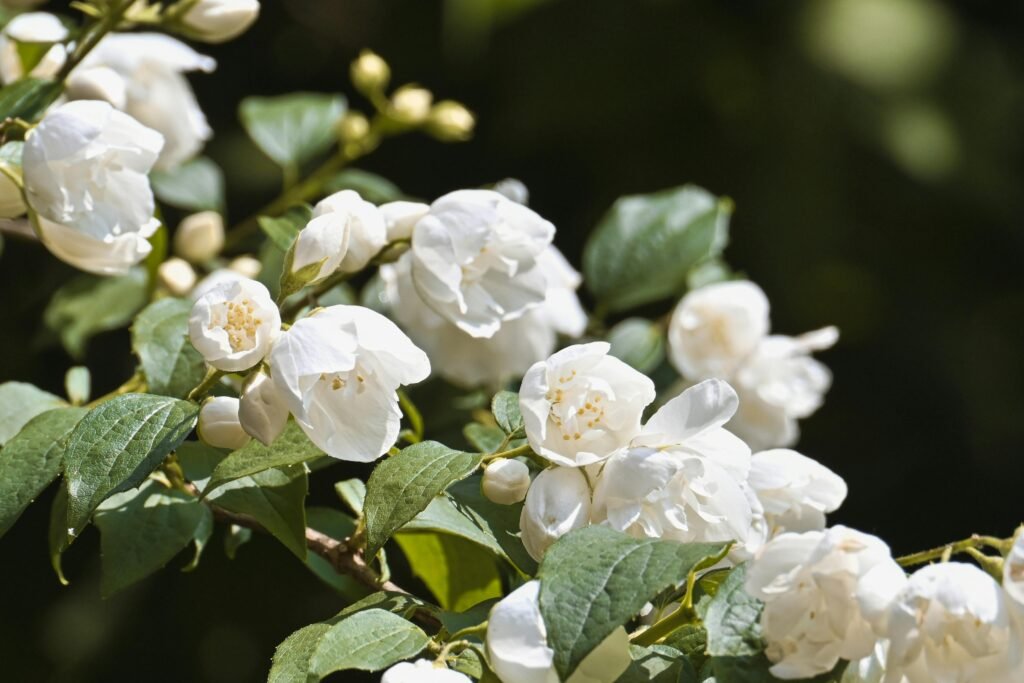 打造你的夢想咖啡館：感官課應該在學咖啡的哪個階段上？