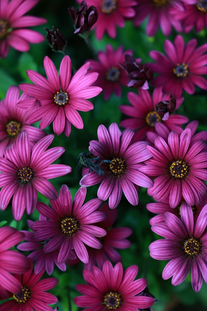 創業開咖啡館必修課:SCA感官課程|你知道嗎:穩定度關鍵?