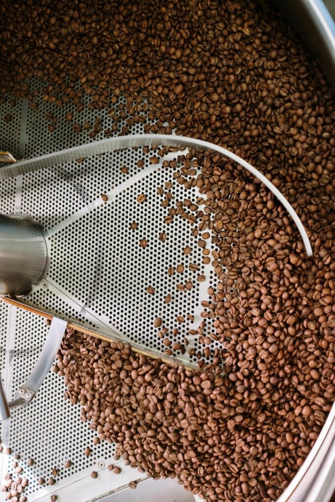 頂尖烘豆師的食安與風味科學:解析化學降解與苦味生成控制