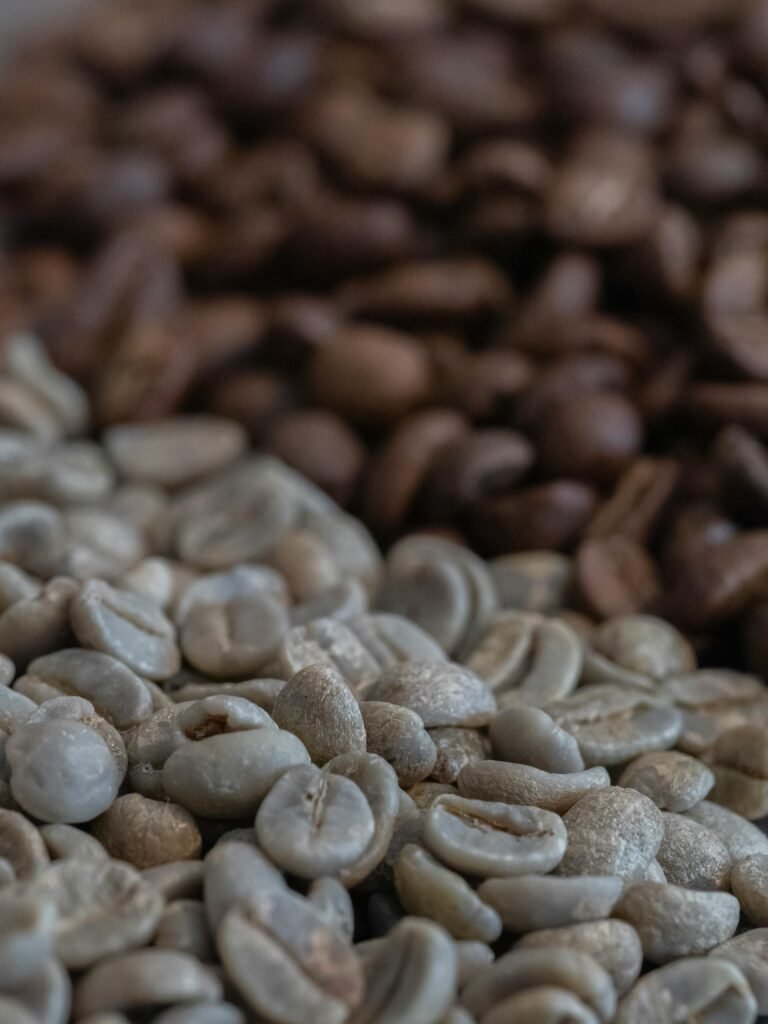 從咖啡生豆物理屬性到批發零售商業計算：SCA烘豆師高階全解析