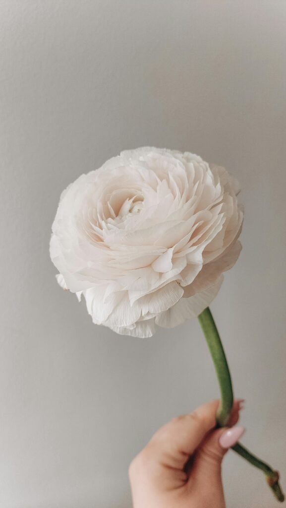 SCA感官課:學會一致判斷,才能真正提升選豆、教學與品控效率