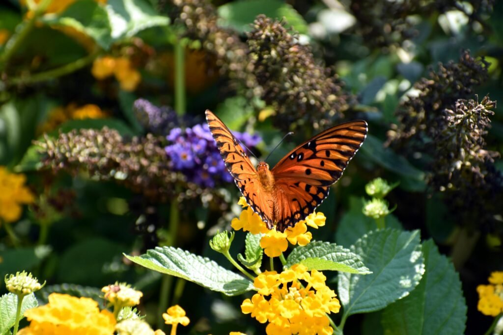 SCA想讓咖啡描述更有說服力？SCA感官課幫你說出專業與細節