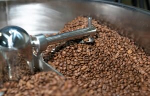 Q Grader 品管：從熟豆外觀與切面判斷烘焙內外均勻度