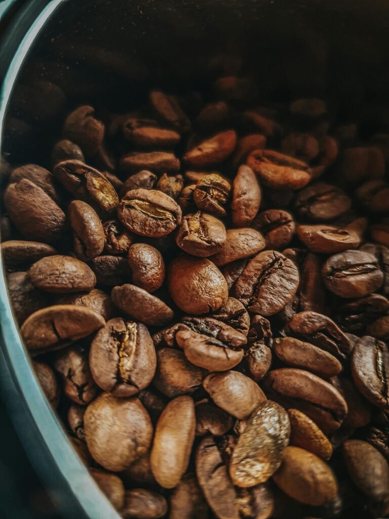 成為獨立烘豆師：SCA 證照如何幫你建立市場公信力？烘豆課推薦