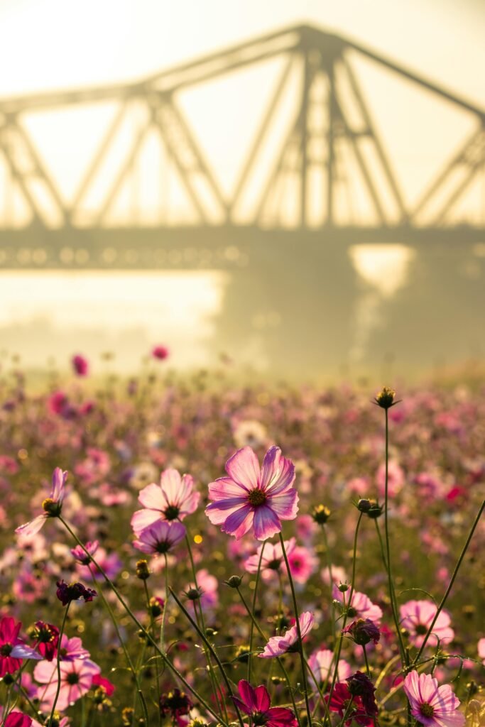 立即行動SCA 感官認證班報名中：跟著QGrader講師開啟味覺天賦