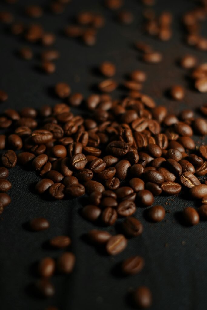 從零開始的咖啡館創業夢：SCA烘豆課程與全方位咖啡師證照指南