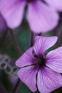 杯測分數怎麼打？SCA咖啡感官課程帶你熟悉 SCA 評分表