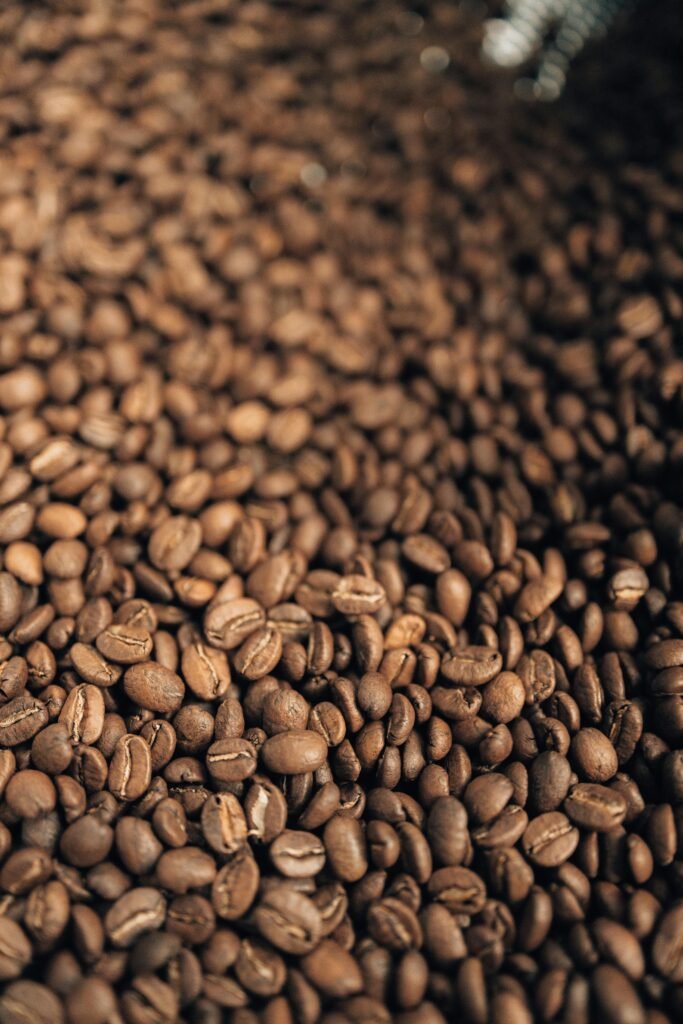 2026 烘豆課程比較表：SCA咖啡烘焙課程 評價與實用性分析