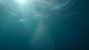 為什麼進階咖啡師都在學 Water Filtration System水質過濾系統？
