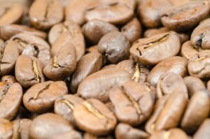 SCA 高階烘豆管理學:如何優化人員、設備、材料與環境 (PEMME)