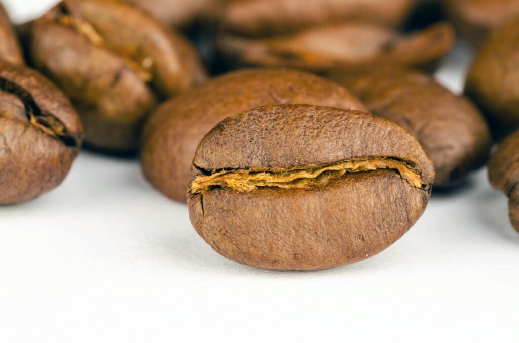 2026年SCA Barista咖啡師認證指南：初中級考照全解析與費用