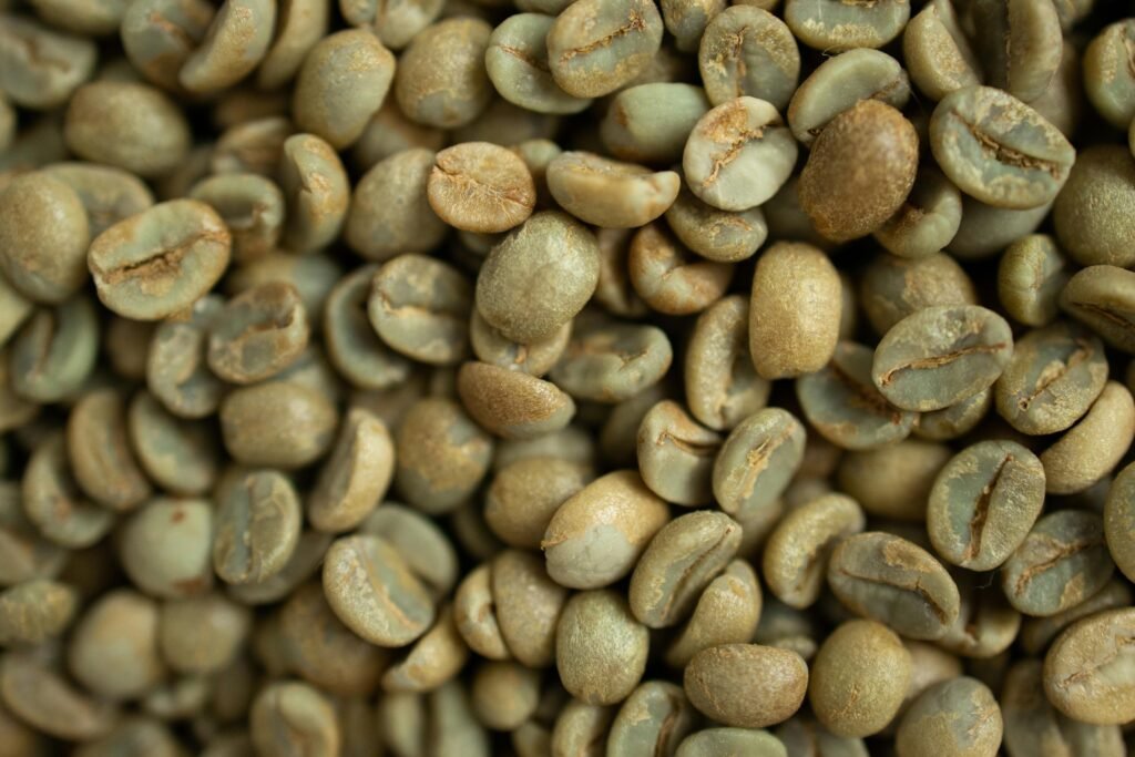 對流熱 vs 傳導熱：SCA 高階烘豆師如何根據機型調整烘焙策略？