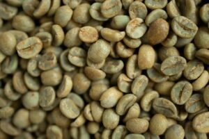 對流熱 vs 傳導熱：SCA 高階烘豆師如何根據機型調整烘焙策略？