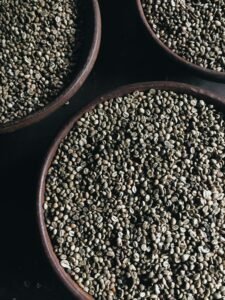 烘豆老是抓不到風味甜蜜點?【SCA咖啡烘豆師證照 高階專業級】