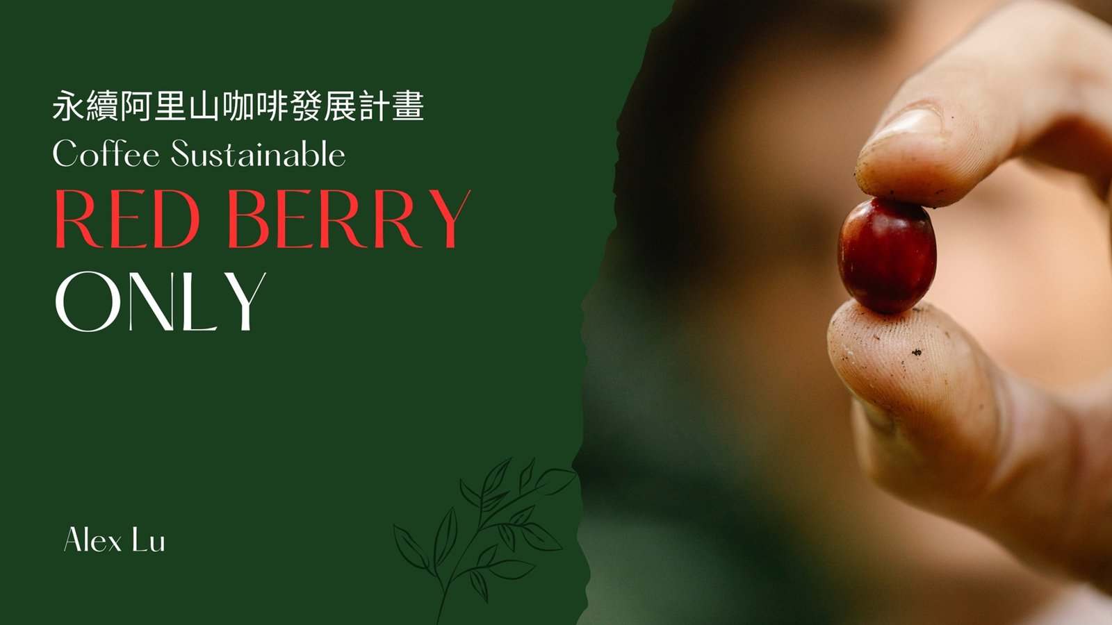 Red Berry Only Project 台灣永續咖啡倡議視覺